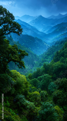 Misty mountain range covered in lush green forest creating a scenic landscape, nature background