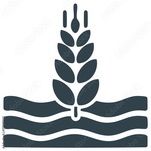 Abstract cereal crop growing in cultivated field a symbol of agriculture harvest and natural food