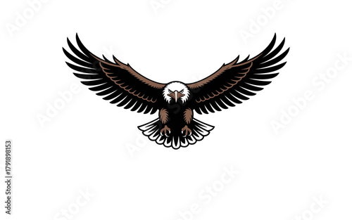 An eagle spreads its wings in flight against a white background.