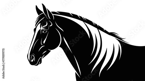 A detailed black and white illustration of a horse's head and mane.