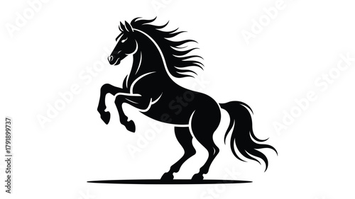A black horse rears up on a white background with its mane flowing.