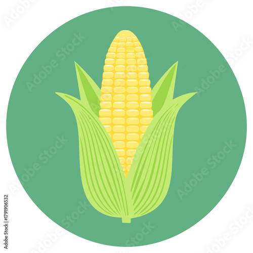 Fresh Corn Cob with Green Husks Flat Icon