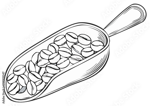Wooden Scoop Overflowing with Rich Coffee Beans, Detailed Line Art Illustration