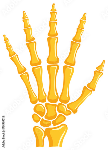 Detailed golden yellow human hand skeleton bone structure stylized medical illustration