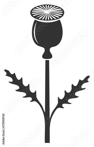Stylized Poppy Seed Head with Leaves Silhouette Graphic Illustration