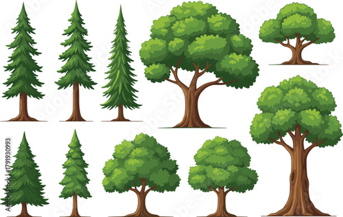 Tree illustration set, coniferous and deciduous trees, forest clipart, green foliage, nature drawing, cartoon tree icons, environmental design, educational plant graphics