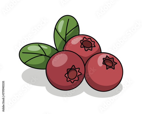 Illustration of ripe red cranberries with green leaves on a white background