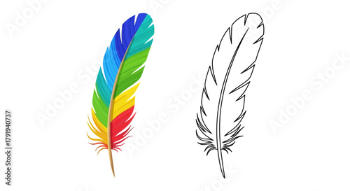 Colorful feather contrasted with a monochrome line drawing of another feather