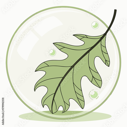 Oak leaf inside a bubble representing natures fragility