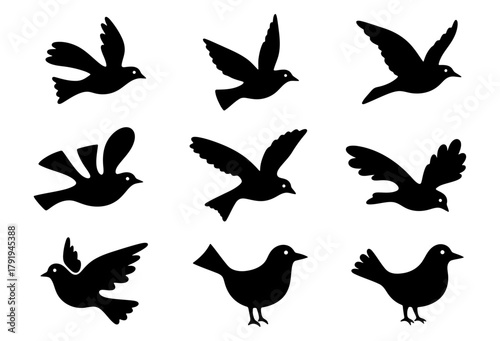 Collection of nine black bird silhouettes in flying and standing poses icon set