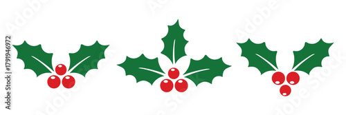 Colorful holly berry and leaf holiday decoration vector