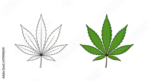 Cannabis leaf illustration a green and black and white comparison