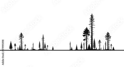 vector illustration of a silhouette of a forest