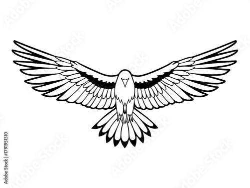 eagle vector illustration