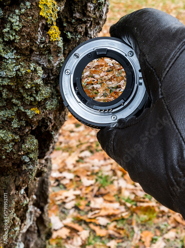 Autumn colorful blurred fallen leaves seen through small lens, close-up with ...