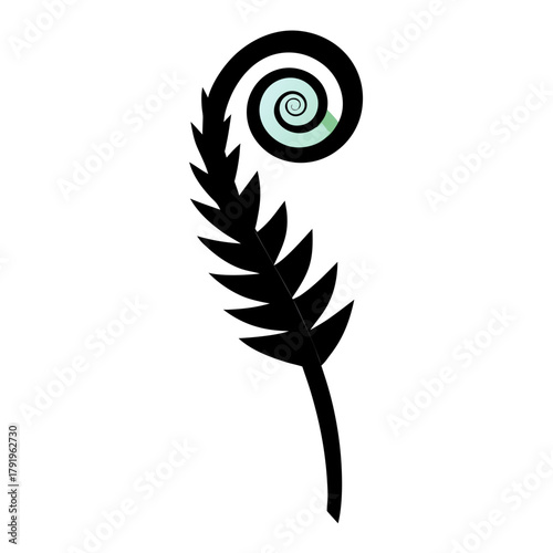 peacock feather vector illustration