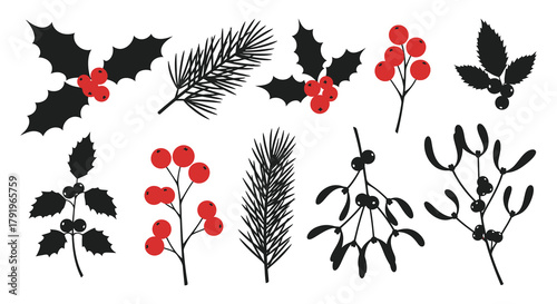 Collection of hand drawn festive winter holiday botanical elements including holly pine mistletoe and berries