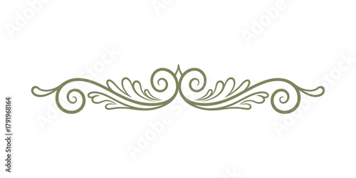 Decorative delimiter flourish ornament. Classic elegant scroll design element