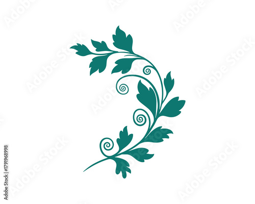 Decorative teal branch. elegant leaf scroll. ornamental plant swirl element