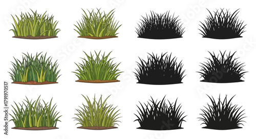 Collection of realistic grass tufts in varying shades and densities