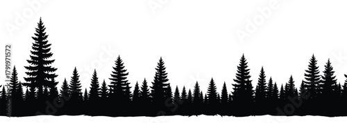 Evergreen tree silhouette illustration, wood forest background, nature landscape silhouette for design.