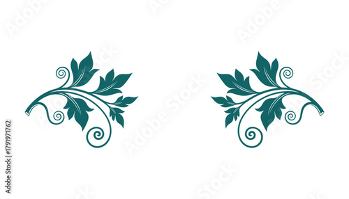 Floral swirl ornament. Decorative green leaf nature. Organic plant branch. Elegant curl element.
