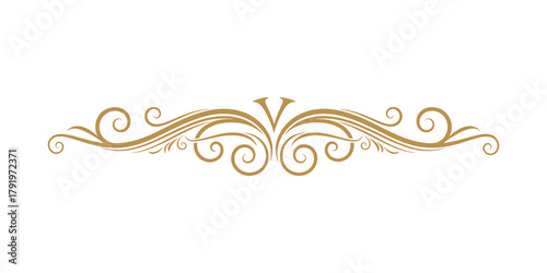 Gold elegant calligraphic border design with flourishes. Classic ornate divider scroll element.