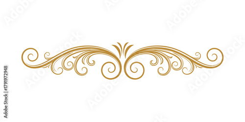 Golden luxurious scroll divider or ornamental flourish. Elegant decorative element border.