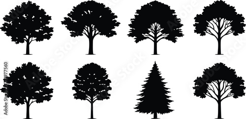 Illustrative set of diverse tree silhouettes featuring various deciduous and coniferous species, perfect for nature designs.