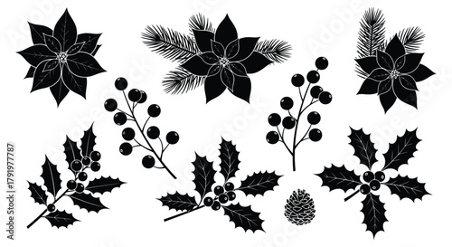 Collection of black silhouette christmas botanical elements including poinsettias holly berries pine needles and pinecones