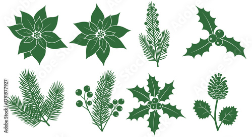 Collection of green christmas botanical elements including poinsettias pine needles holly and berries