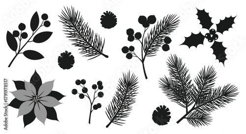 Collection of black silhouette christmas botanical elements including pine branches holly berries and poinsettia