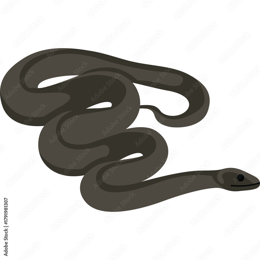 Obraz premium Dark Brown Snake Coiled and Curled on a Transparent Background Illustration