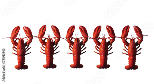Five Red Lobsters in a Row Seafood Delicacy and Culinary Theme