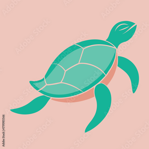 A teal turtle swims on a pink background, isolated on pink background, in a simple graphic illustration