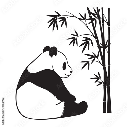 Panda sitting near bamboo illustration