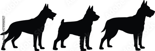 Dog silhouette vector set, three different breeds comparison, black canine shapes, pet diversity, cad drawing flat vector illustration, white background