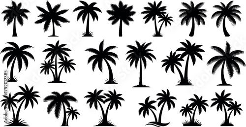 Collection of Black Palm Tree Silhouettes black and white