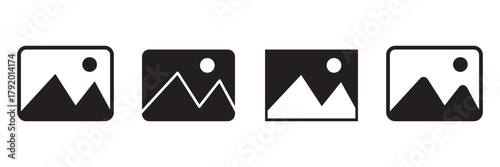 Picture icon vector. photo gallery icon symbol.