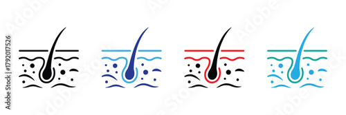 Hair follicle and skin anatomy cross-section icon set in various colors. dermatology concept. isolated on white background