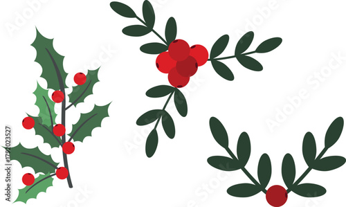 Christmas holly berries with green leaves and red fruits vector illustration