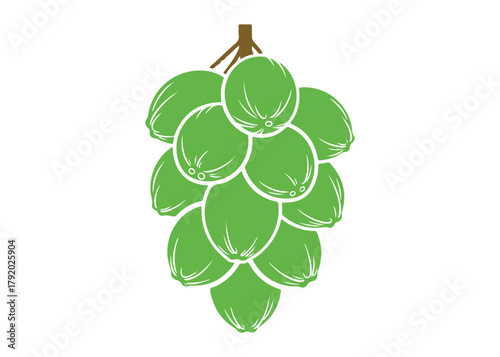 a set of hanging coconut logo vector icon design illustration template
