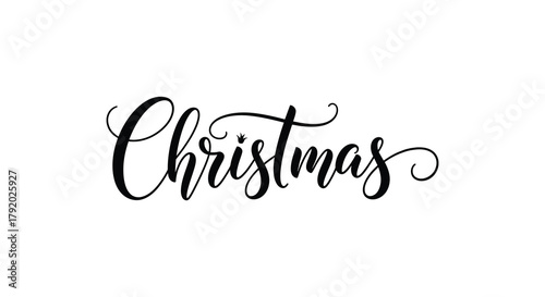 Elegant christmas calligraphy with delicate snowflake accents on a white background