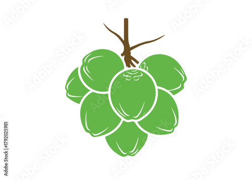 a group of suspended coconut logo vector icon design illustration template
