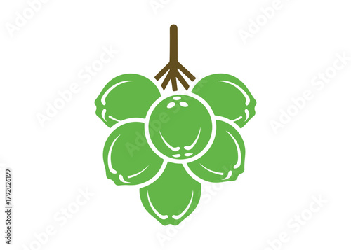 a collection of dangling coconut logo vector icon design illustration template