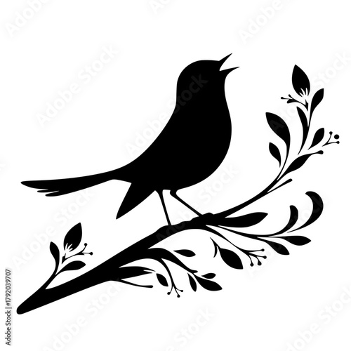 Photos Silhouette of a chirping bird