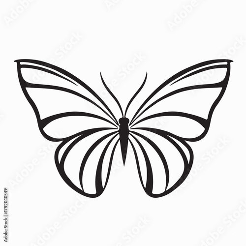 Elegant Butterfly Logo Design Vector on white background