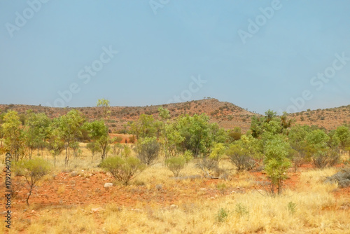 Savannah bushland in the Northern Territory of Australia, showing the sparse shrubs and yellow grass against a flat landscape