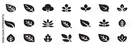 collection of thirty black and white traced leaf and plant