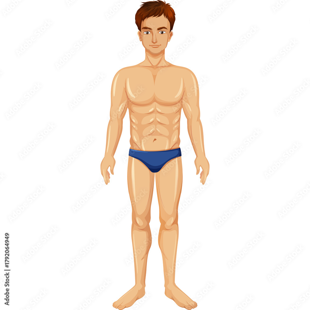 Fototapeta premium Full body illustration of a muscular athletic man wearing blue briefs isolated on a white background with a transparent background